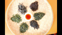 六大茶哪一种茶提神效果最厉害？