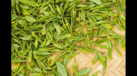 如何辨别茶叶好坏