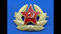 请问有大佬知道这个苏联勋章的具体名字和故事背景吗？