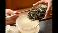 乌龙茶和普洱茶哪个减肥效果好?