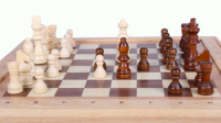西洋棋子为什么用马头当棋子？？？是否是一种高贵的棋子？因为西洋棋子比赛？
