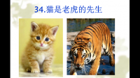 《猫是老虎的先生》课文原文 共有多少字