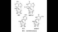 尿酸高是根据什么鉴定的？