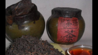 茶叶末可以种植建兰吗?
