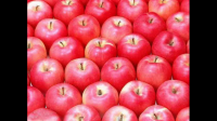 乙烯利在苹果树上可以促花解决大小年现象吗