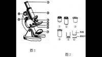 显微镜在转换物镜时,能否直接扳转物镜镜头?为什么?