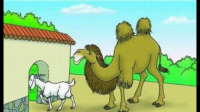羊和骆驼300字