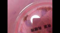 这是六角恐龙鱼的卵吗？