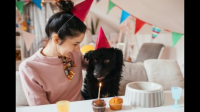 狗狗过生日怎么庆祝？