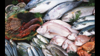 售卖淡水鱼虾怎么找到养殖户拿货