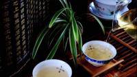 普洱茶的茶红素是什么物质？
