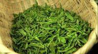 龙井老茶树的新茶是不是要放一段时间更好喝啊