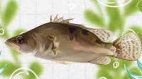 桂鱼里面有一条长达三、四鱼身的虫状物，是什么