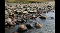 黄河岸边捡的石头，什么材质？