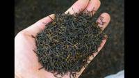 红茶正山小种哪里产的好，价格最高和最低是多少。