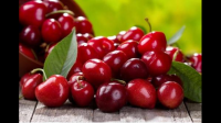 为什么目前市面上的樱桃大多是国外的，国产的很少？