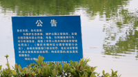 大竹东湖公园禁钓了吗