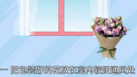 鲜花怎么保存，保存方法？