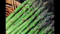 绿芦笋辽宁能裸地种植吗