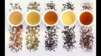 绿茶为什么是我国产量最多的一类茶叶