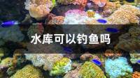 临川区前进水库可以钓鱼吗