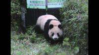 国家重点野生动植物保护率怎样算