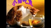 这个笑话是一个双关语，因为鱼的拼音是yú，而猫的拼音是mao，所以鱼可以看作是猫的缩写。