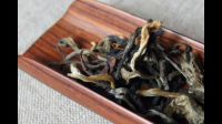 郑福星 茶是什么季节喝?