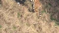 今年大年初二，宁波雅戈尔动物园发生老虎咬人事件。对于这件事，你又是如何看待的呢？