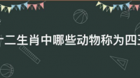 四王是指哪四个王各代表什么生肖