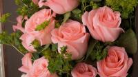 为什么说玫瑰花也因英格丽褒曼她而有了名字
