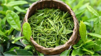 特一级六安瓜片绿茶茶叶潜香2000与一级六安瓜片绿茶茶叶潜香600是哪种好