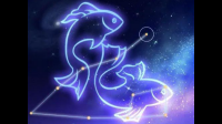 我的星座是双鱼座，有什么特点？