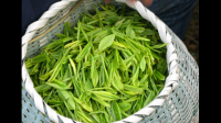 茶叶属于什么商品品类