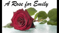 在《献给爱米丽的玫瑰》中，爱米丽对她所在的城镇和地区代表着什么?