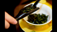 福建最好的茶是什么茶？