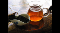 茯茶有多少人喝过？有多少人了解？