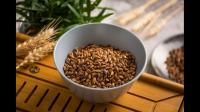 不明白大麦茶是什么