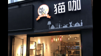你好，我想了解一下开猫咖有那些费用支出？还有饮料或者咖啡怎么合在一起？谢谢好看的狐狸