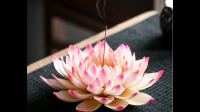 这个是什么香？算小莲花吗？