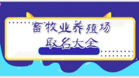 想开个养殖场 求个能让人印象深刻的名字