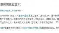 有谁懂这个吗？ 能给我瞅瞅吗？感谢