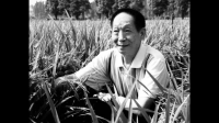 5月22日可以建议定为世界爱粮日吗？