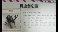 汪曾祺昆虫备忘录多少昆虫