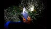 秋天夜钓钓深还是钓浅