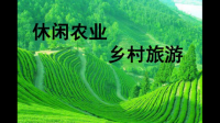 乡村度假网的蔬菜如何？