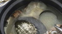 甲鱼是水养还是陆养